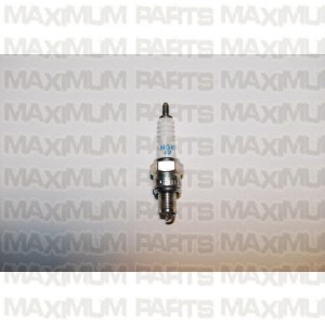 ACE Maxxam 150 Spark Plug (C7HSA NGK)