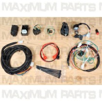 Gio Bikes GT 150 Basic Wiring Harness