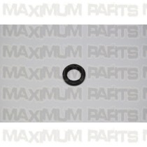 Carter Talon 150 Oil Seal 19.8 x 30 x 5