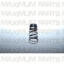 ACE Maxxam 150 Oil Filtering Screen Spring 513-1003