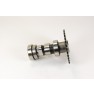 American Sportworks 150 Camshaft Side 1